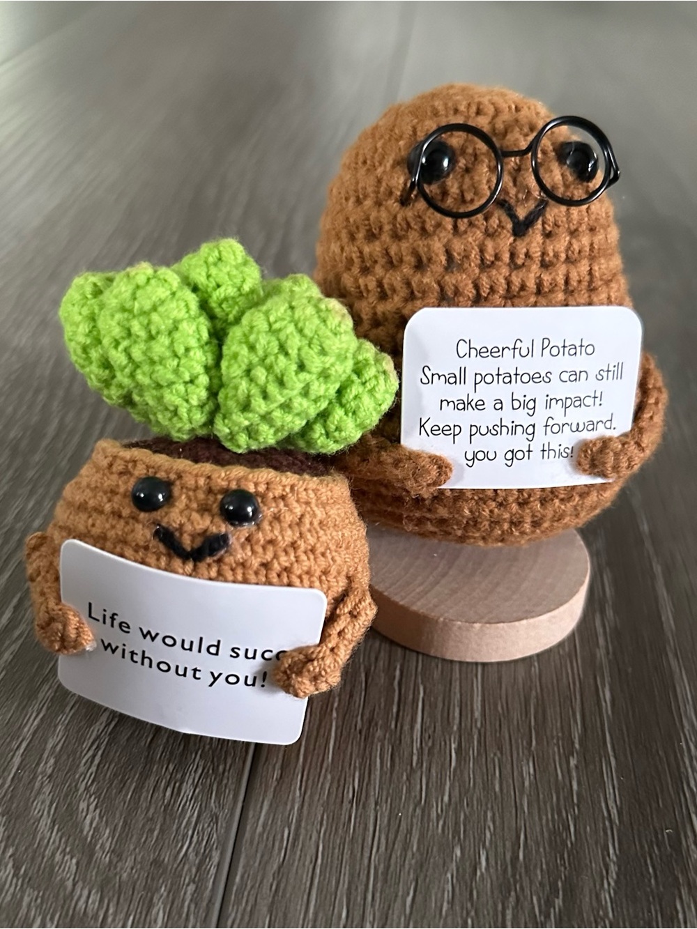 NWOT Crochet Emotional Support Succulent & Potato Figurines